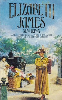 Secondhand Used Book – NEW DAWN by Elizabeth James