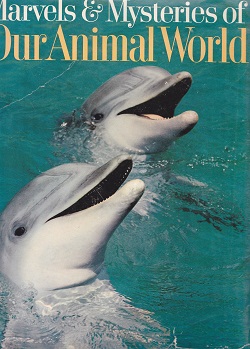 Secondhand Used Book - READER'S DIGEST MARVELS & MYSTERIES OF OUR ANIMAL WORLD